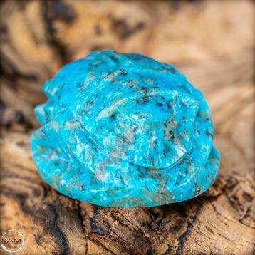 sculpture de scarabée en turquoise naturelle Arizona 89,4