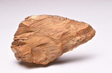 Paleolithic handaxe jasper Handbijl