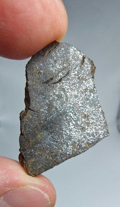 Mesosideriet meteoriet. (NWA 18216) Geen reserveprijs. -, Verzamelen, Mineralen en Fossielen