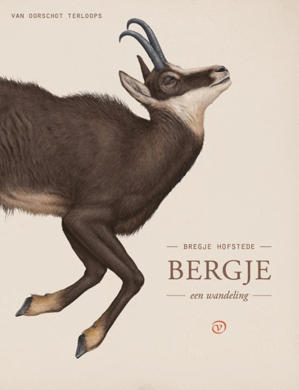 Bergje / Terloops 9789028210332 Bregje Hofstede, Boeken, Reisgidsen, Zo goed als nieuw, Verzenden