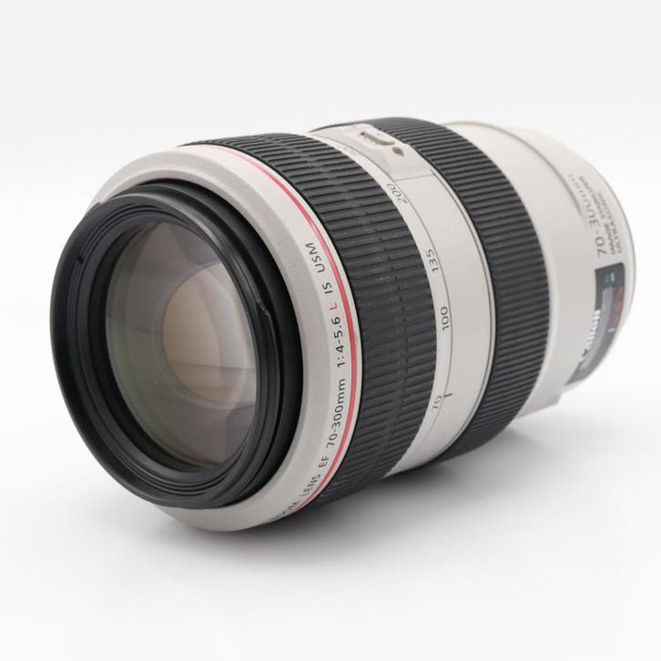 Canon EF 70-300mm F/4-5.6 L IS USM | Occasion, TV, Hi-fi & Vidéo, Photo | Lentilles & Objectifs, Enlèvement ou Envoi