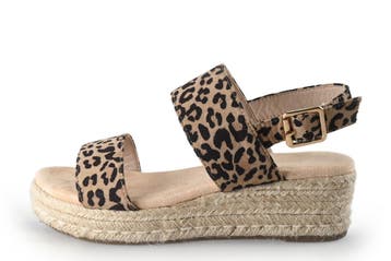 Dolcis Sandalen in maat 37 Overig, Vêtements | Femmes, Verzenden, Sandalen of Muiltjes