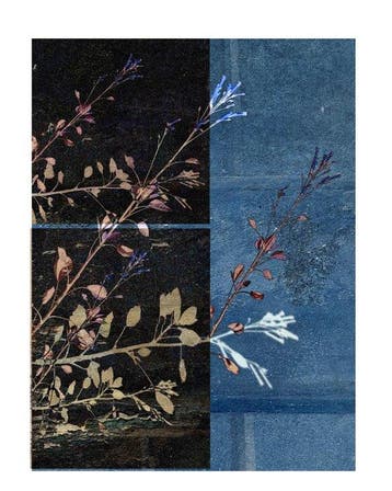 Susana Galbis - Half life in blue
