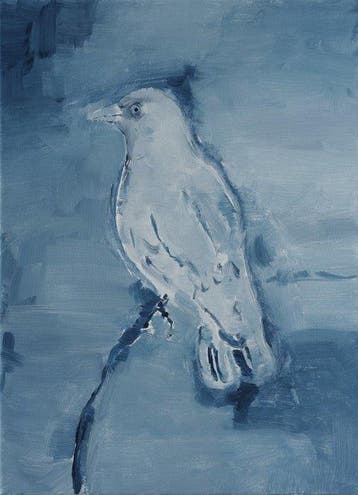 Matthieu van Riel - Bird