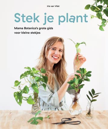 Stek je plant 9789082968705 Iris van Vliet, Verzenden, Iris van Vliet