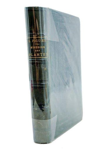 Louis Figuier / Faguet - Histoire des plantes - 1885