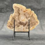 Magnifique tranche de bois pétrifié sur un socle