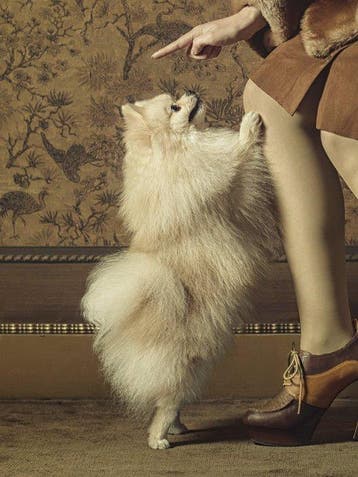 Ursula van de Bunte - Handle with Care