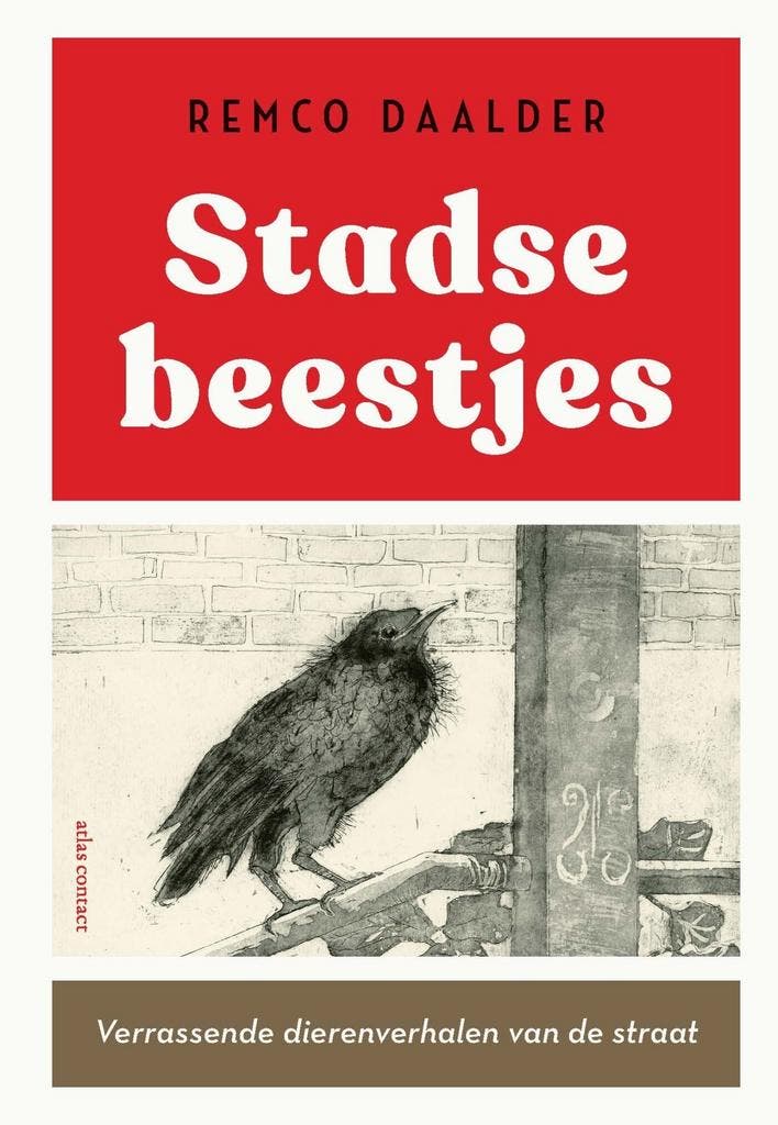 Stadse beestjes (9789045048178, Remco Daalder), Livres, Livres Autre, Envoi
