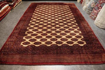 Buchara art deco - Tapijt - 381 cm - 293 cm