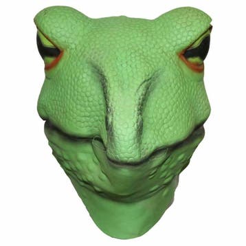 Kikkermasker (groen), Hobby en Vrije tijd, Verzenden, Nieuw