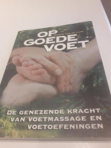 Op goede voet 9789076141145 G. van de Lang, Boeken, Verzenden, Zo goed als nieuw, G. van de Lang