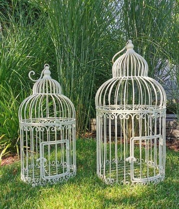 Cage à oiseaux (2) - fer