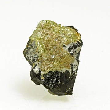 Opale hyalite fluorescente vert néon sur la tourmaline noire, Verzamelen