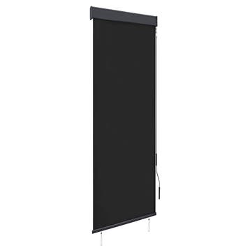 vidaXL Rolgordijn voor buiten 60x250 cm antraciet, Verzenden, Nieuw