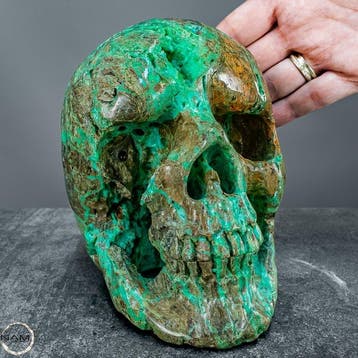 Chrysoprase-crâne – Objet dart expressif dans un vert vif, Verzamelen