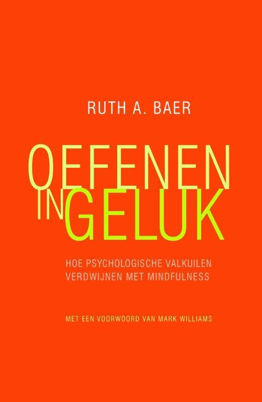 Oefenen in geluk 9789057124129 Ruth A. Baer, Livres, Psychologie, Envoi