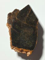 NWA 16900 BRACHINITE primitieve achondrietmeteoriet - 9.44 g
