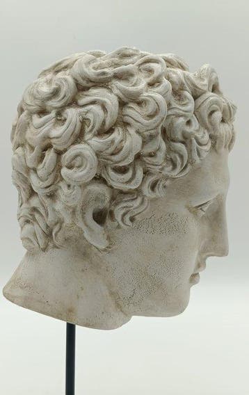sculptuur, Testa di Eros - 33 cm - marmerpoeder