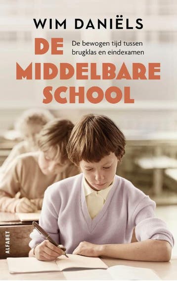 De middelbare school 9789021343822 Wim Daniëls, Boeken, Verzenden, Zo goed als nieuw, Wim Daniëls