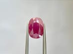 Zonder minimumprijs - 1 pcs Rood Robijn - 6.20 ct - Lotus