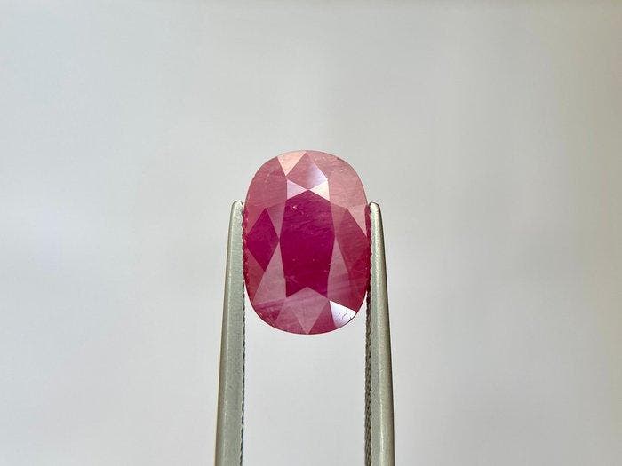 Zonder minimumprijs - 1 pcs Rood Robijn - 6.20 ct - Lotus, Handtassen en Accessoires, Edelstenen