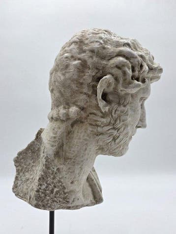 sculptuur, Adriano - 38 cm - marmerpoeder