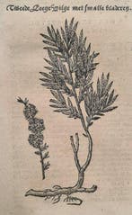 Rembertus Dodonaeus - 34 houtsnedes uit het Cruydt-boeck -