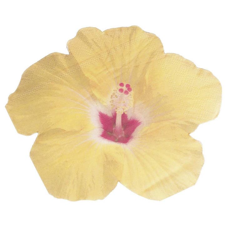 Gele Servetten Bloemen 16,5cm 16st, Hobby en Vrije tijd, Feestartikelen, Nieuw, Verzenden