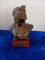 Buste, Apollo van Belvedère - 21 cm - Terracotta, Hout, Antiek en Kunst