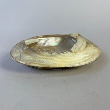 Decoratief ornament - Gesneden parelmoer schelp met feniks -, Antiek en Kunst