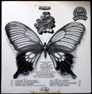 A Passing Fancy - A Passing Fancy - LP album (op zichzelf