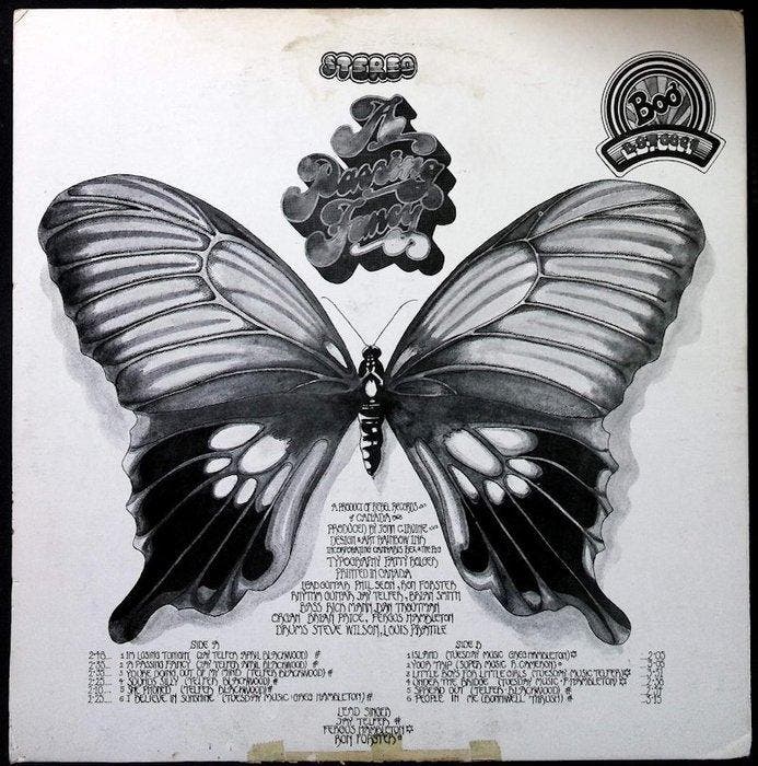 A Passing Fancy - A Passing Fancy - LP album (op zichzelf, CD & DVD, Vinyles Singles