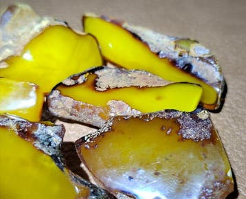 Baltisch Amber - Hoge Kwaliteit AAA - Geen Reserveprijs-