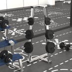 vidaXL Halterschijven 6 st 30 kg gietijzer, Verzenden