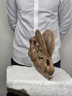 Dilophosaurus-schedelreplika – Grote handgeschilderde, Verzamelen