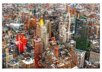 Roberto Cavalli (Italia, 1971) - Visioni, in New York /#174