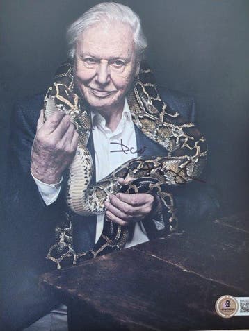 Sir David Attenborough - Planet Earth - Autograph, Photo, Nieuw