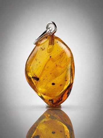 Pendentif en ambre baltique pour collectionneurs – inclusion