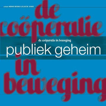 Publiek geheim 9789080790902, Verzenden