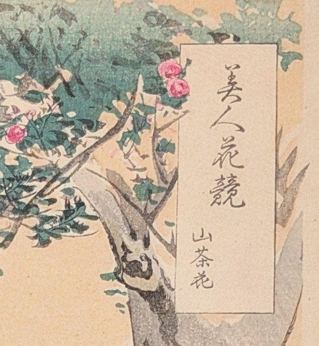 Ogata Gekk • Orchidee • Schoonheden vergeleken met bloemen, Antiek en Kunst, Antiek | Overige Antiek