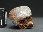 Meteoriet NWA 859 Taza - niet-ingedeelde ijzermeteoriet, Verzamelen, Mineralen en Fossielen