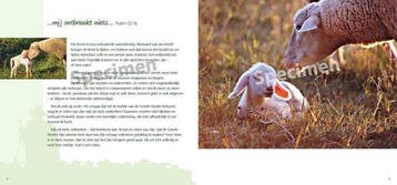 Goede Herder en psalm 23 9789059073784 Sarah Waldmann, Verzenden, Zo goed als nieuw, Sarah Waldmann