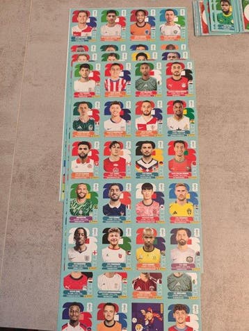 Panini Album complet