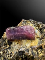 Duivenbloedrobijn Top Mineralencollectie - Hoogte: 4 cm -, Verzamelen