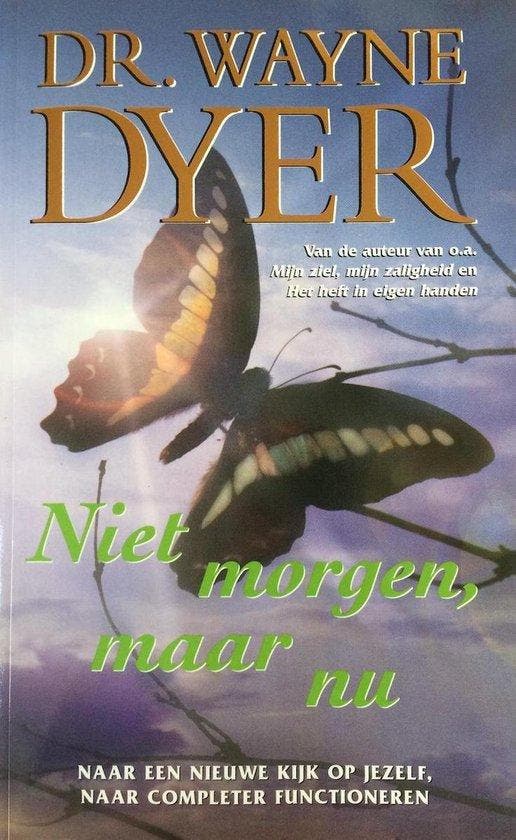 Niet morgen, maar nu - Dyer, Boeken, Psychologie, Verzenden