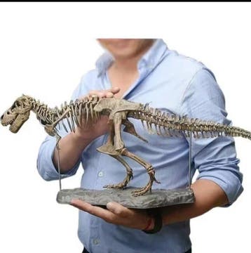 Beeld, T_rex era jurassica 70 cm - 22 cm - hars/plastic