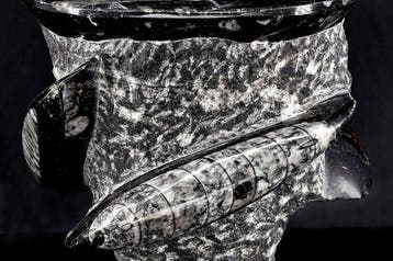 Mortier et pilon en pierre fossile de haute qualité du Maroc