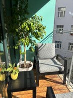 Appartement en Rue du Rempart des Moines, Brussels