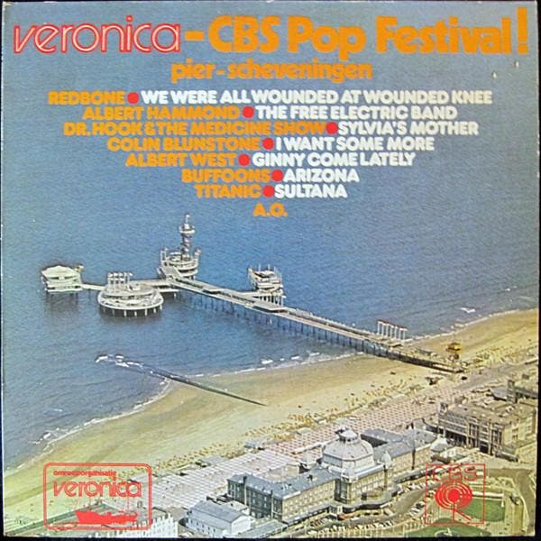 Various - Veronica-CBS Pop Festival!, Cd's en Dvd's, Vinyl | Pop, Gebruikt, Verzenden